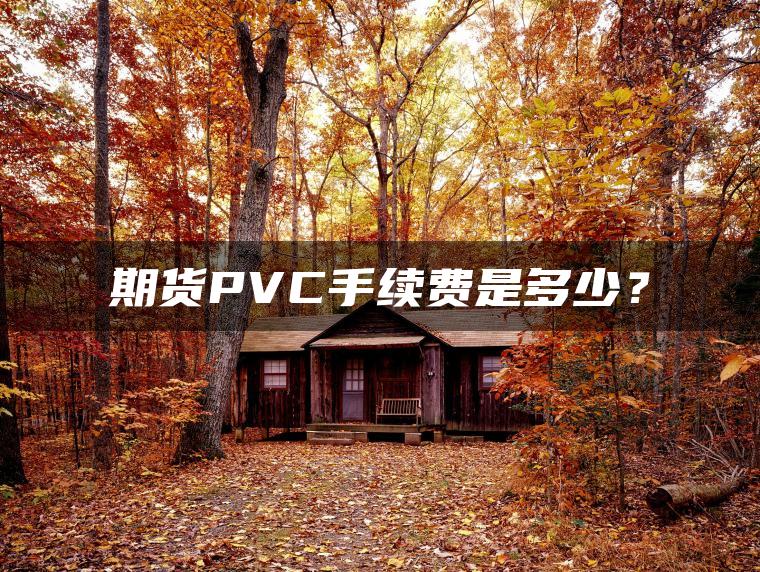期货PVC手续费是多少？