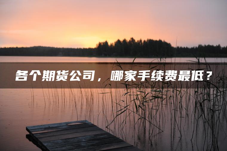 各个期货公司，哪家手续费最低？