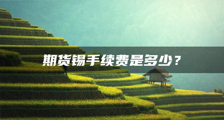期货锡手续费是多少？