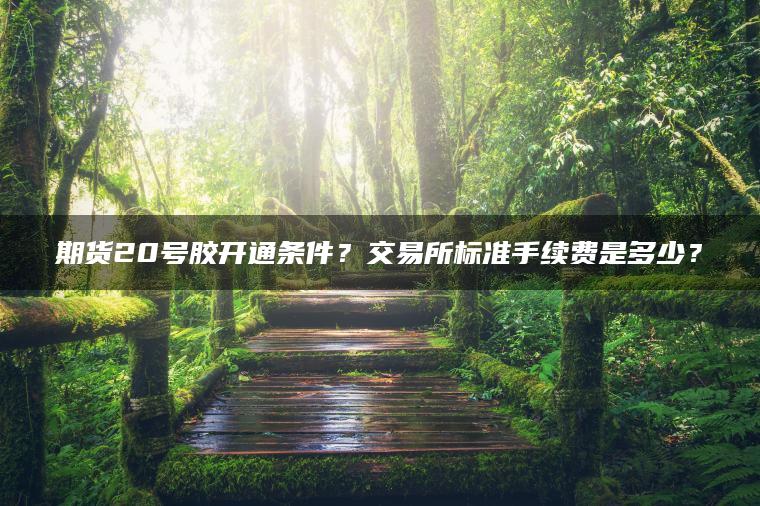 期货20号胶开通条件？交易所标准手续费是多少？