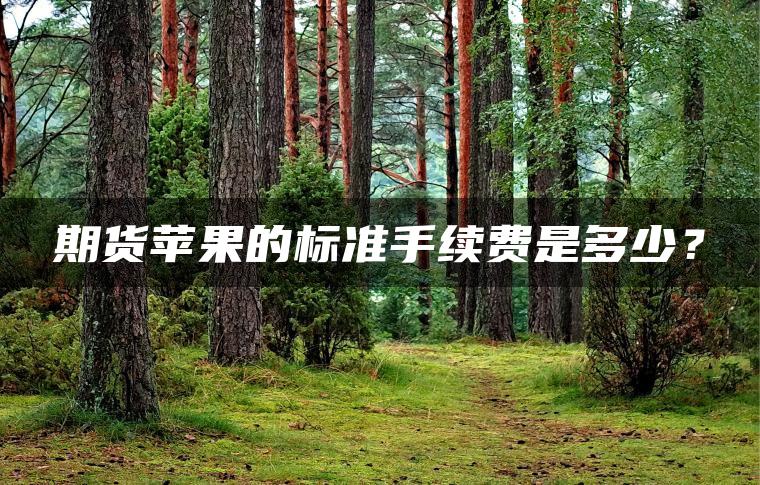 期货苹果的标准手续费是多少？