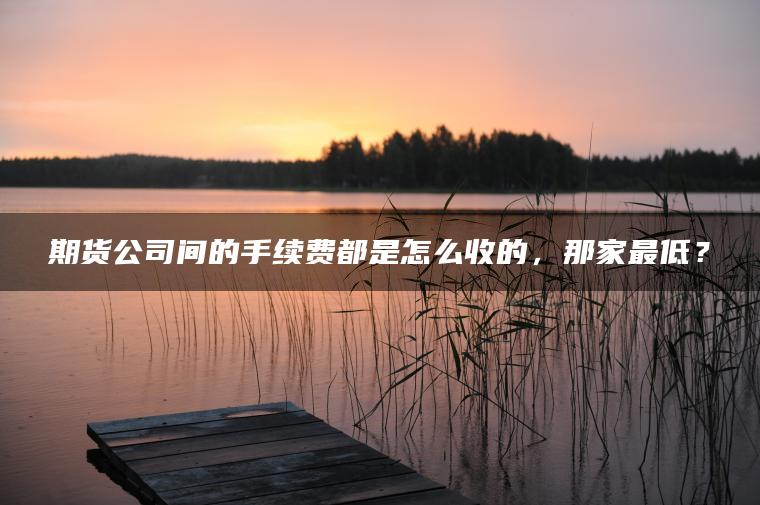 期货公司间的手续费都是怎么收的,那家最低? 期货公司间的手续费都是怎么收的,那家最低?