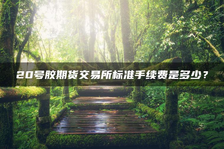 20号胶期货交易所标准手续费是多少? 20号胶期货交易所标准手续费是多少?