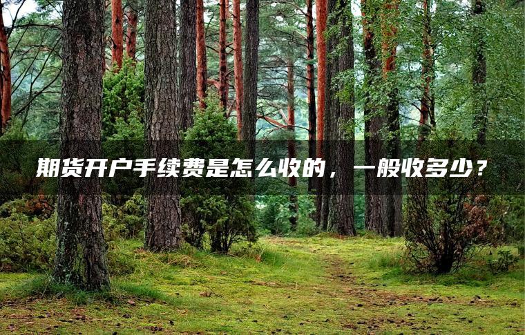 期货开户手续费是怎么收的,一般收多少? 期货开户手续费是怎么收的,一般收多少?