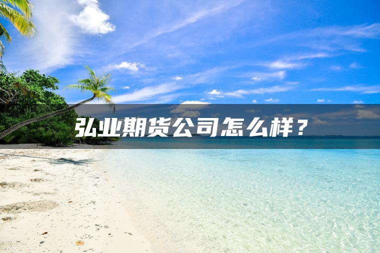 弘业期货公司怎么样? 弘业期货公司怎么样?