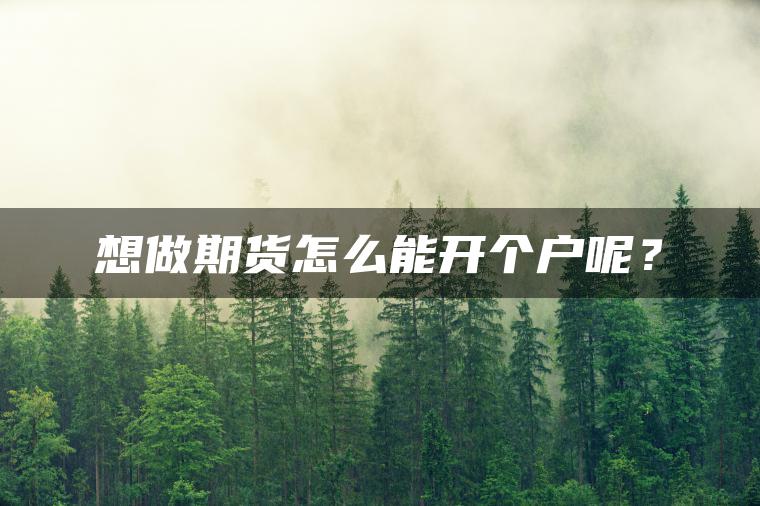 想做期货怎么能开个户呢？