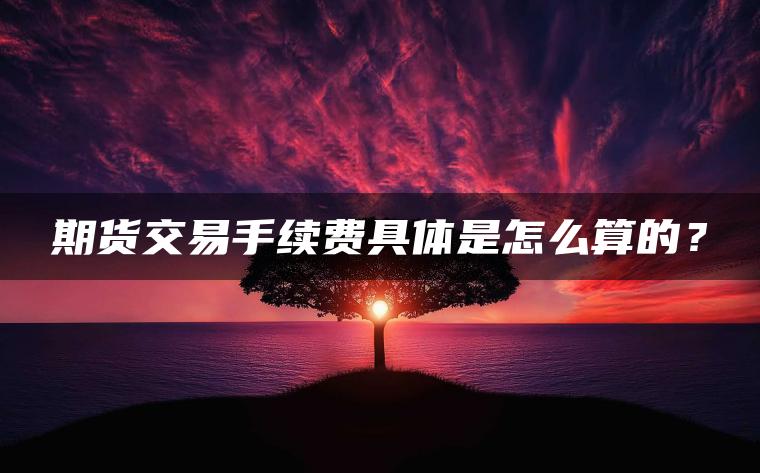 期货交易手续费具体是怎么算的? 期货交易手续费具体是怎么算的?