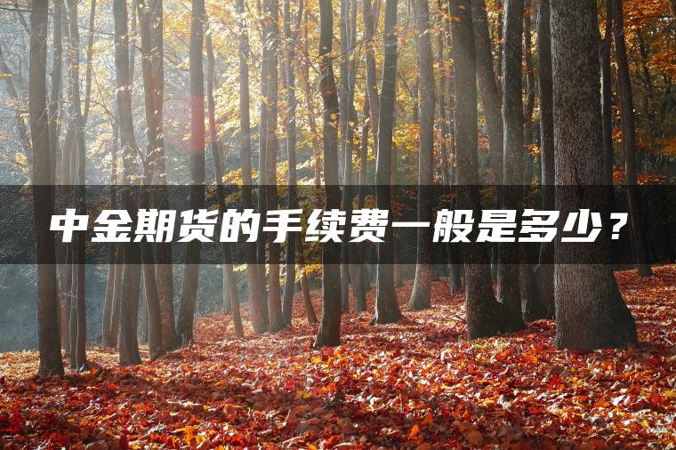 中金期货的手续费一般是多少? 中金期货的手续费一般是多少?