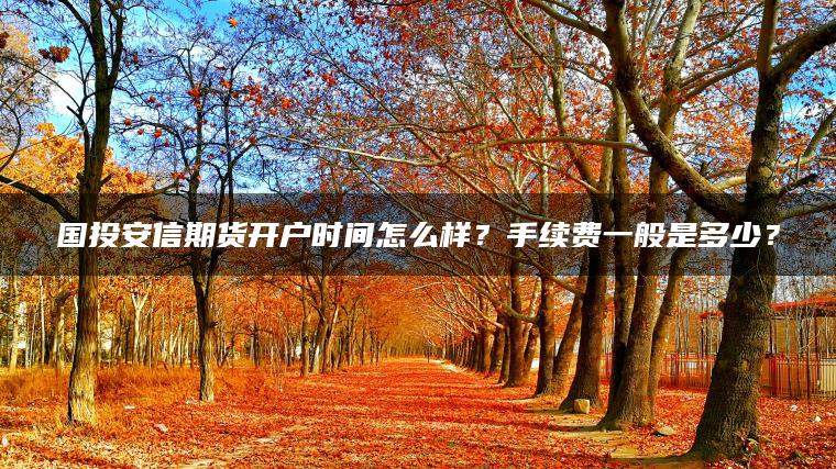 国投安信期货开户时间怎么样?手续费一般是多少? 国投安信期货开户时间怎么样?手续费一般是多少?