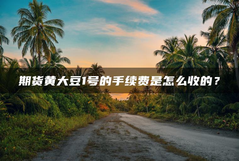 期货黄大豆1号的手续费是怎么收的？