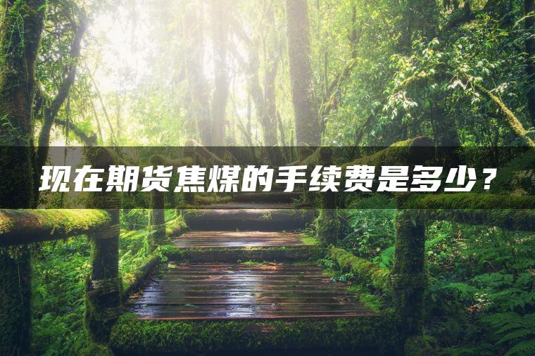 现在期货焦煤的手续费是多少？