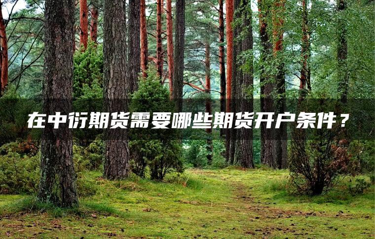 在中衍期货需要哪些期货开户条件? 在中衍期货需要哪些期货开户条件?