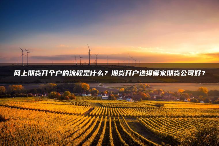 网上期货开个户的流程是什么?期货开户选择哪家期货公司好? 网上期货开个户的流程是什么?期货开户选择哪家期货公司好?