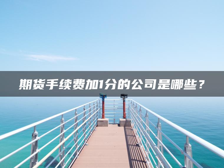 期货手续费加1分的公司是哪些? 期货手续费加1分的公司是哪些?