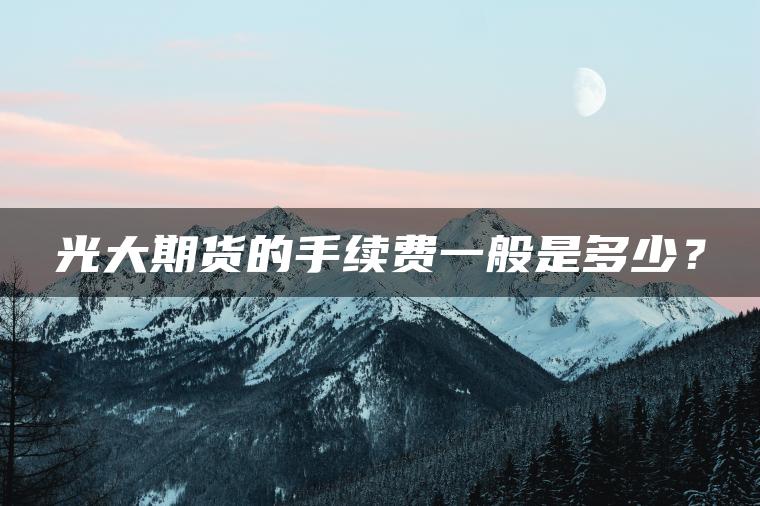 光大期货的手续费一般是多少? 光大期货的手续费一般是多少?