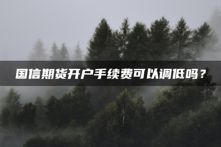 国信期货开户手续费可以调低吗？