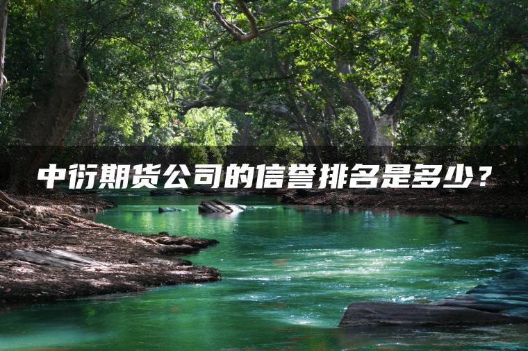中衍期货公司的信誉排名是多少？