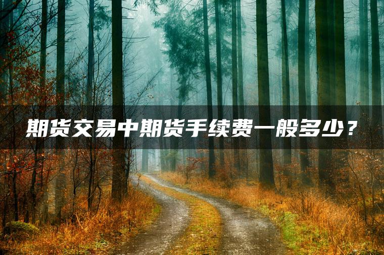 期货交易中期货手续费一般多少？
