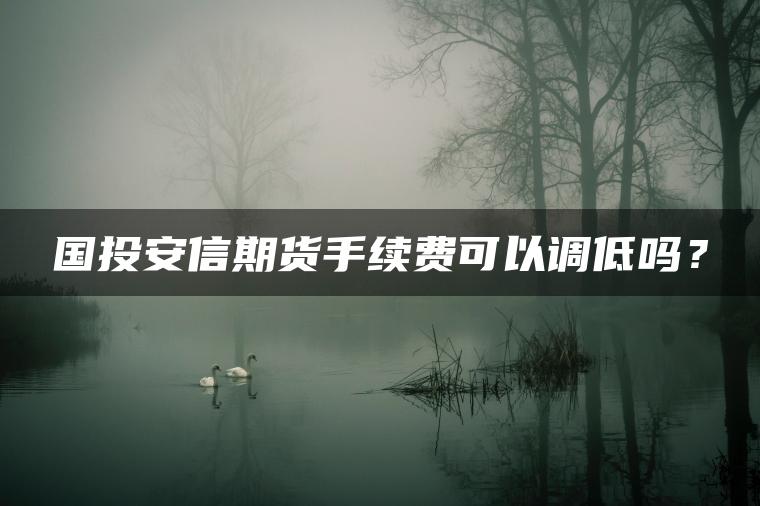 国投安信期货手续费可以调低吗? 国投安信期货手续费可以调低吗?