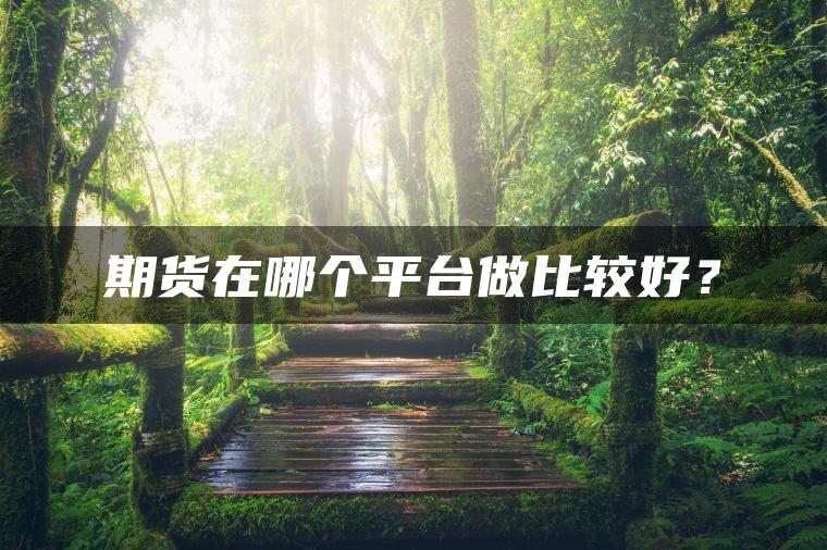 期货在哪个平台做比较好? 期货在哪个平台做比较好?