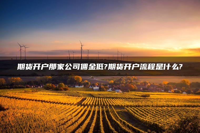 期货开户那家公司佣金低?期货开户流程是什么? 期货开户那家公司佣金低?期货开户流程是什么?