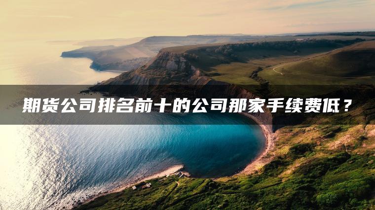 期货公司排名前十的公司那家手续费低? 期货公司排名前十的公司那家手续费低?