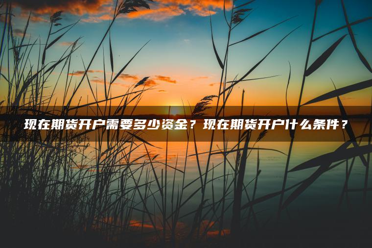 现在期货开户需要多少资金?现在期货开户什么条件? 现在期货开户需要多少资金?现在期货开户什么条件?