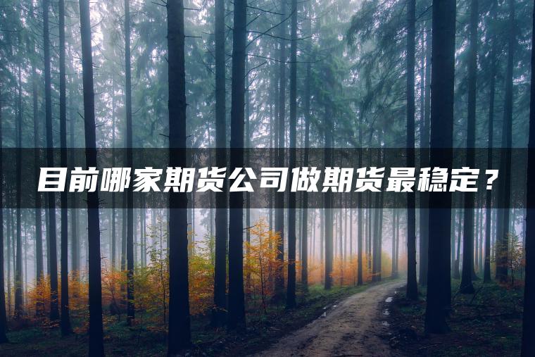 目前哪家期货公司做期货最稳定？