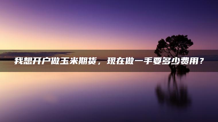 我想开户做玉米期货，现在做一手要多少费用？