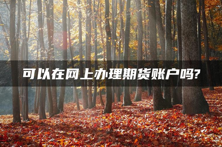 可以在网上办理期货账户吗?