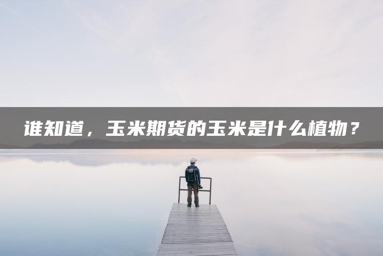 谁知道，玉米期货的玉米是什么植物？