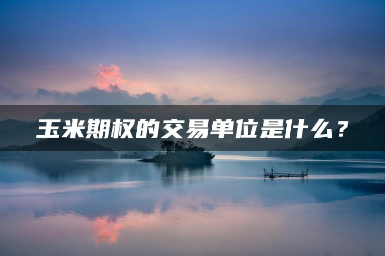 玉米期权的交易单位是什么？