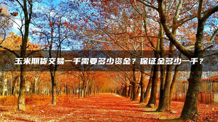 玉米期货交易一手需要多少资金？保证金多少一手？