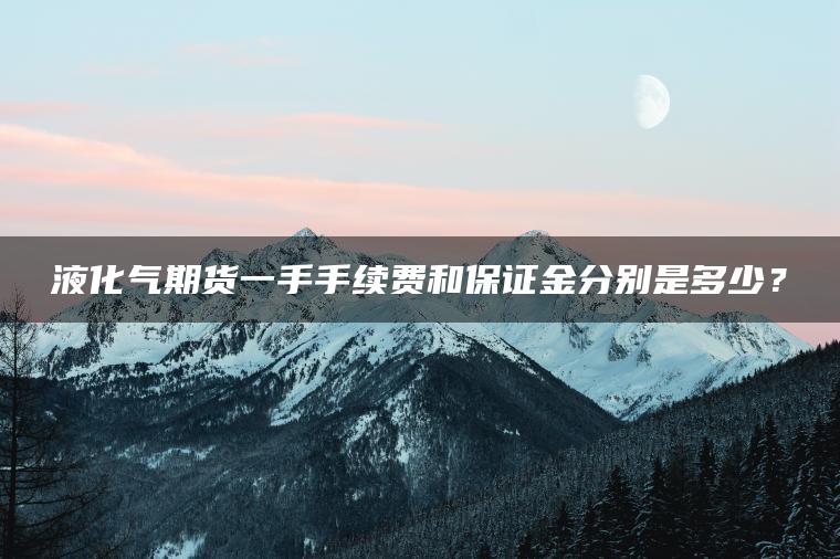 液化气期货一手手续费和保证金分别是多少？
