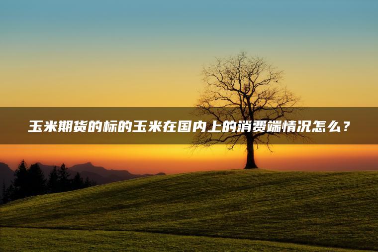 玉米期货的标的玉米在国内上的消费端情况怎么？