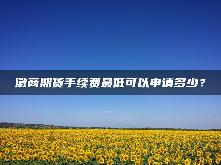 徽商期货手续费最低可以申请多少? 徽商期货手续费最低可以申请多少?