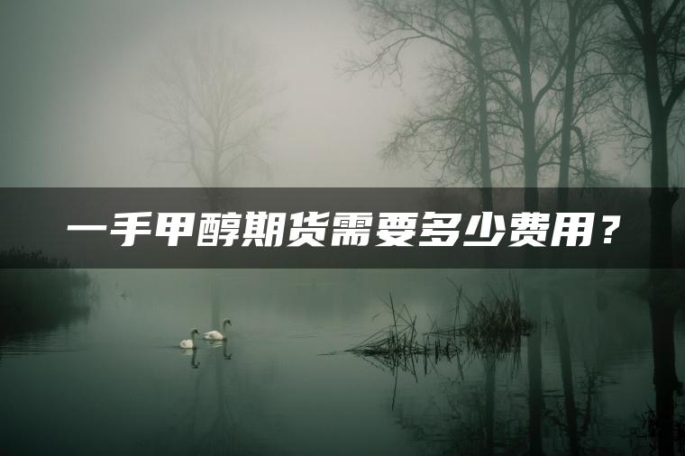 一手甲醇期货需要多少费用？