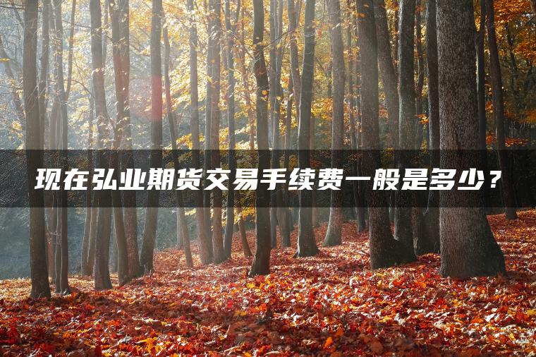 现在弘业期货交易手续费一般是多少？