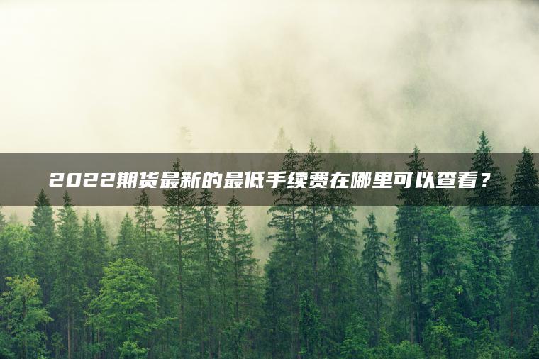 2022期货最新的最低手续费在哪里可以查看？