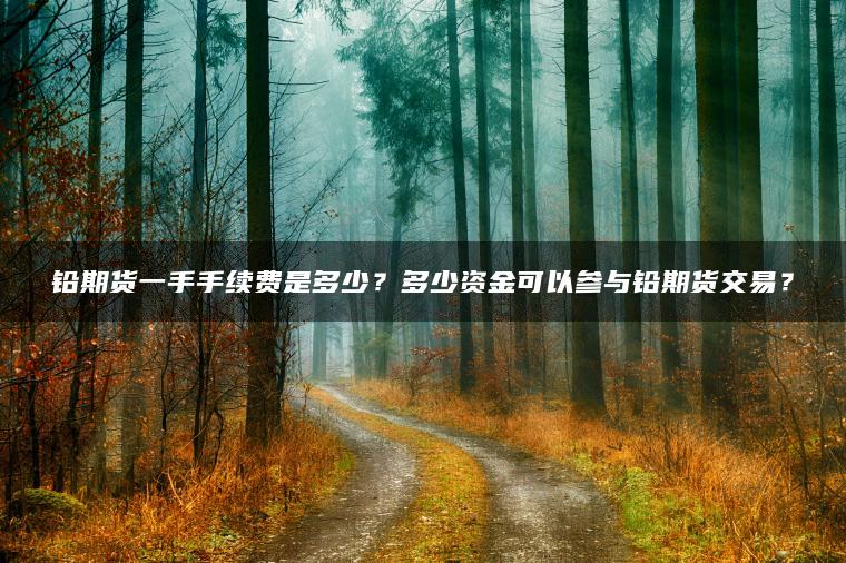 铅期货一手手续费是多少？多少资金可以参与铅期货交易？