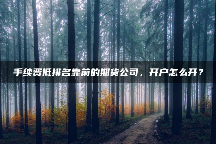手续费低排名靠前的期货公司,开户怎么开? 手续费低排名靠前的期货公司,开户怎么开?