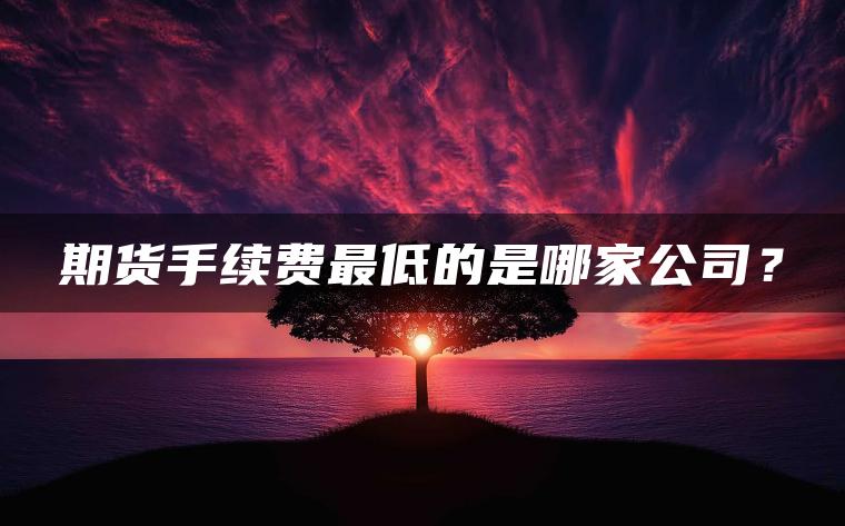 期货手续费最低的是哪家公司？