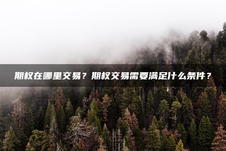 期权在哪里交易?期权交易需要满足什么条件? 期权在哪里交易?期权交易需要满足什么条件?
