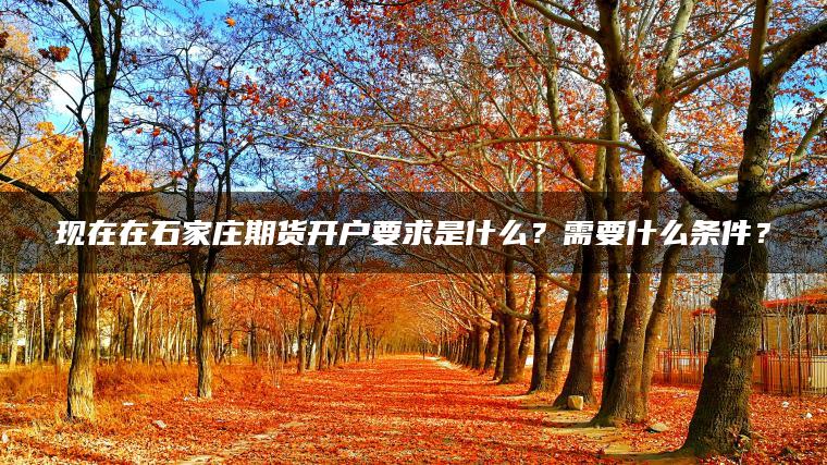 现在在石家庄期货开户要求是什么？需要什么条件？