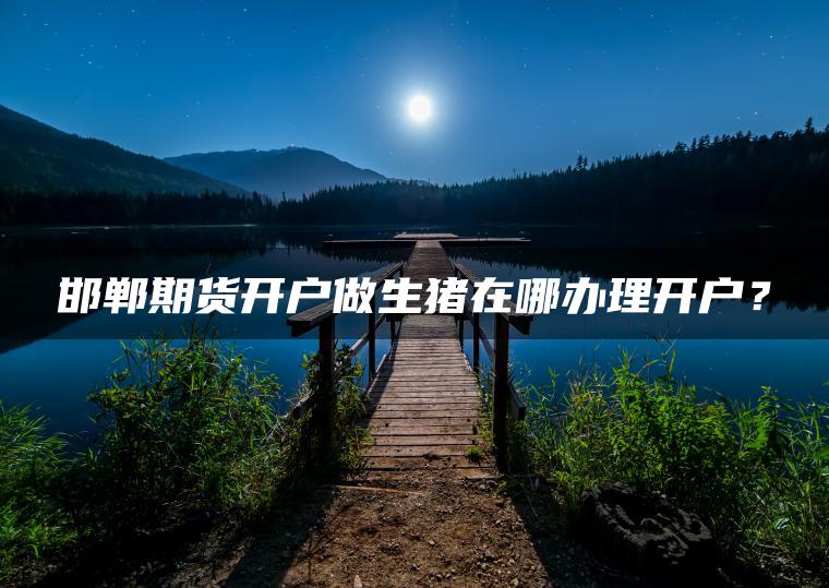 邯郸期货开户做生猪在哪办理开户？