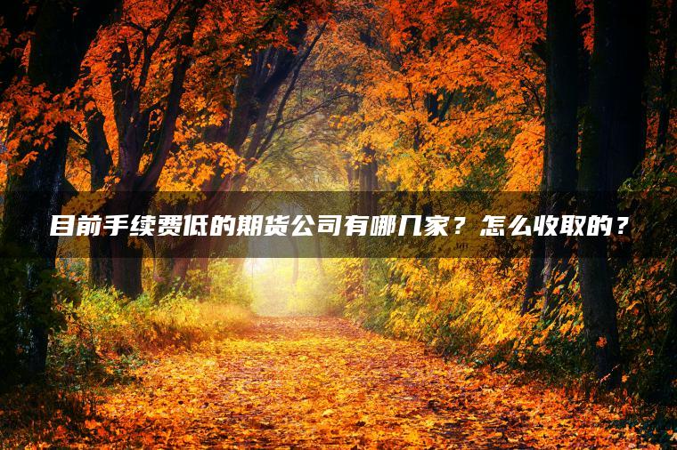 目前手续费低的期货公司有哪几家?怎么收取的? 目前手续费低的期货公司有哪几家?怎么收取的?