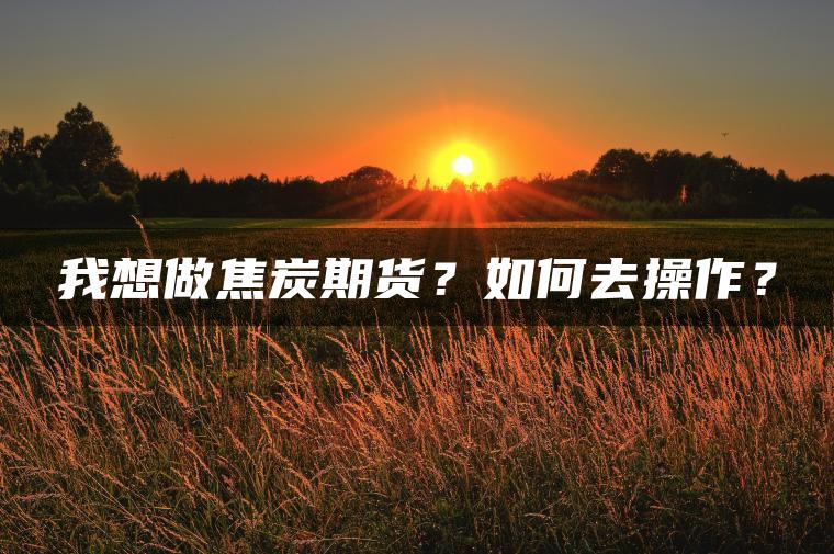 我想做焦炭期货?如何去操作? 我想做焦炭期货?如何去操作?