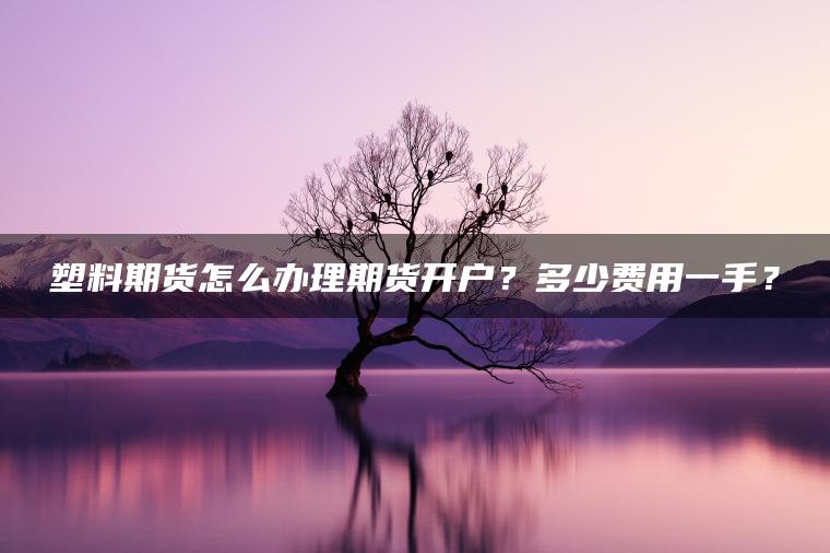 塑料期货怎么办理期货开户?多少费用一手? 塑料期货怎么办理期货开户?多少费用一手?