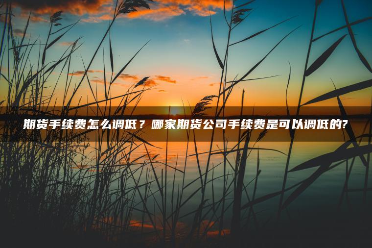 期货手续费怎么调低?哪家期货公司手续费是可以调低的? 期货手续费怎么调低?哪家期货公司手续费是可以调低的?