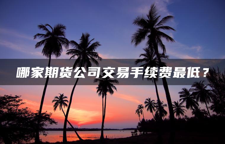 哪家期货公司交易手续费最低? 哪家期货公司交易手续费最低?